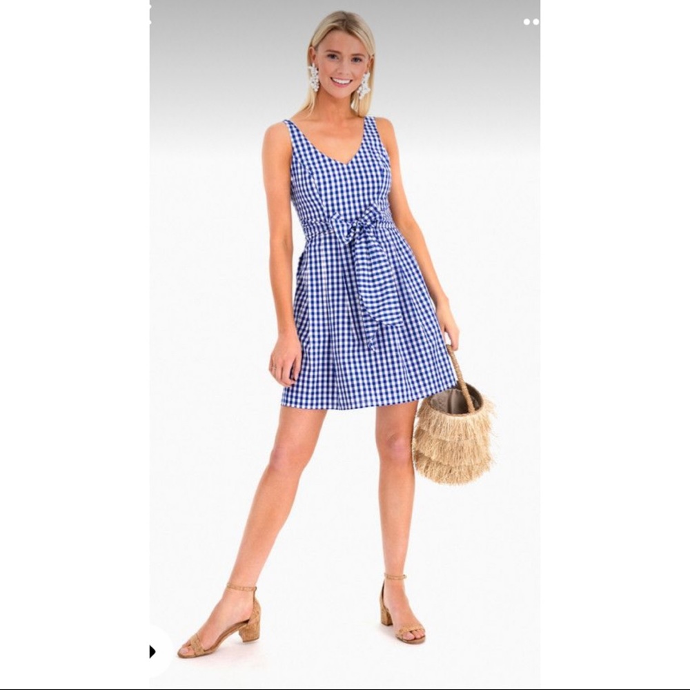 Tuckernuck Gingham Dress